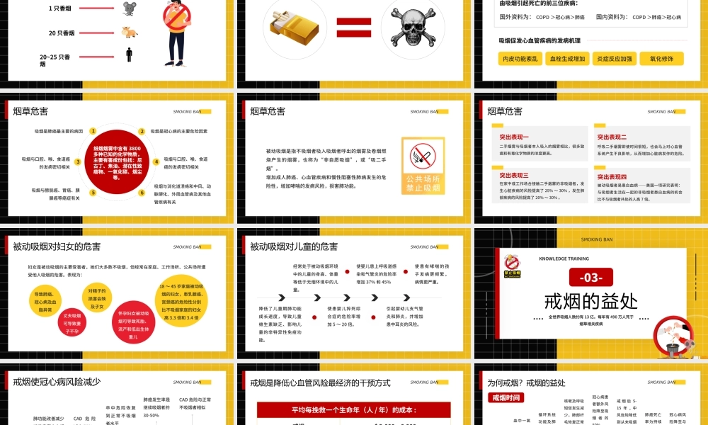 黄色卡通风控烟知识培训介绍.pptx