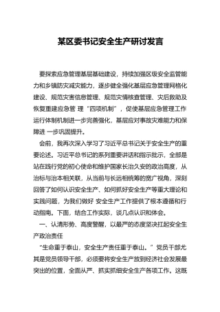 书记安全生产研讨发言.docx