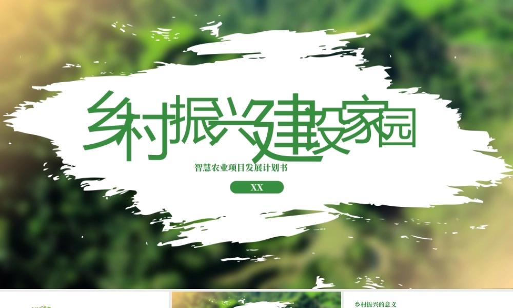 乡村振兴智慧农业项目计划书.pptx