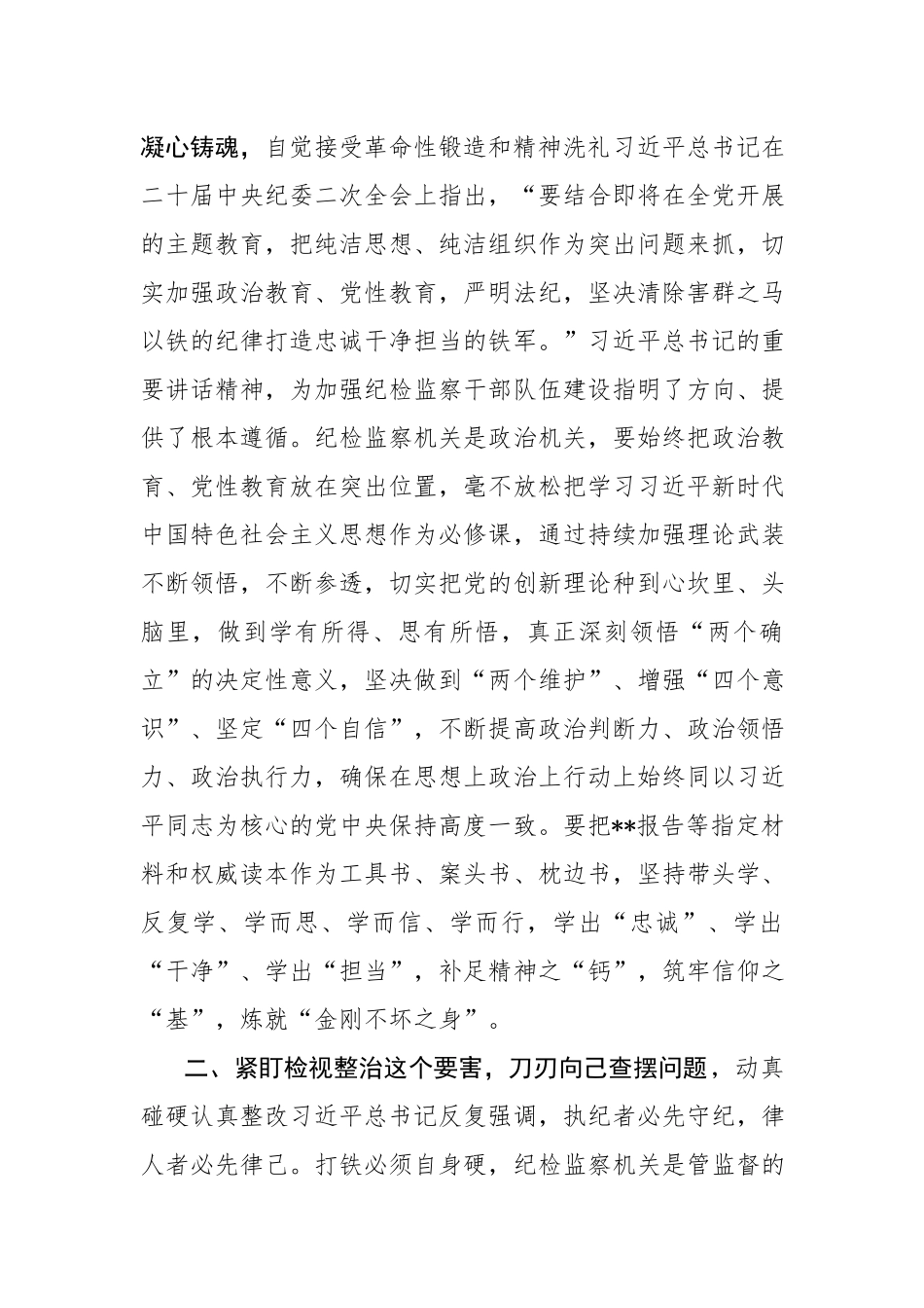 领导干部在2023年纪检监察队伍教育顿学习研讨交流会上的发言材料参考范文3篇.docx_第2页