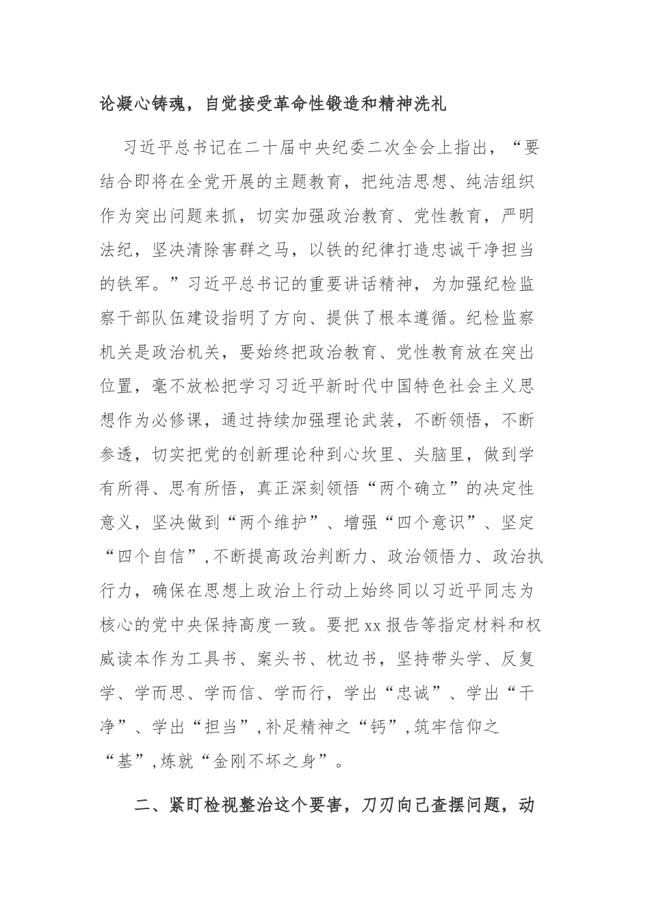 2023年纪检监察队伍教育的心得体会研讨发言材料参考范文2篇.docx_第2页