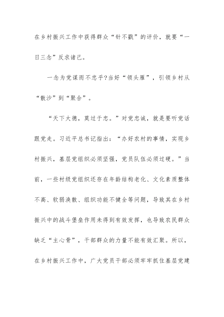 实施乡村振兴战略心得体会范文最新四篇.docx_第2页