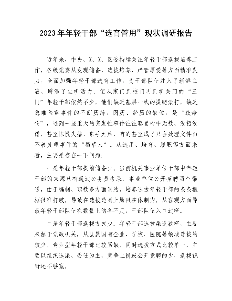 2023年年轻干部“选育管用”现状调研报告.docx_第1页
