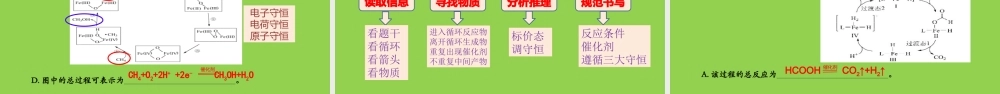 高考化学专题复习 真实情境中物质转化专题考察.pptx