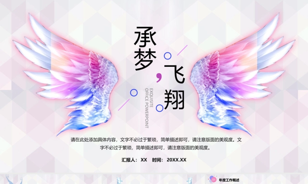 精美翅膀背景的《承梦飞翔》工作总结计划.pptx