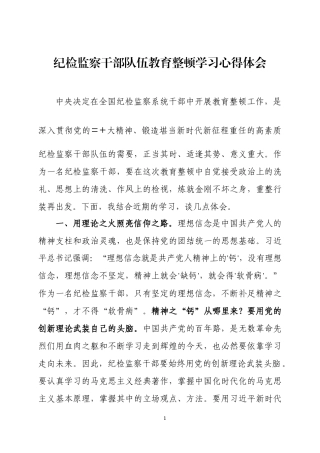 纪检监察干部整顿学习心得体会两篇.docx