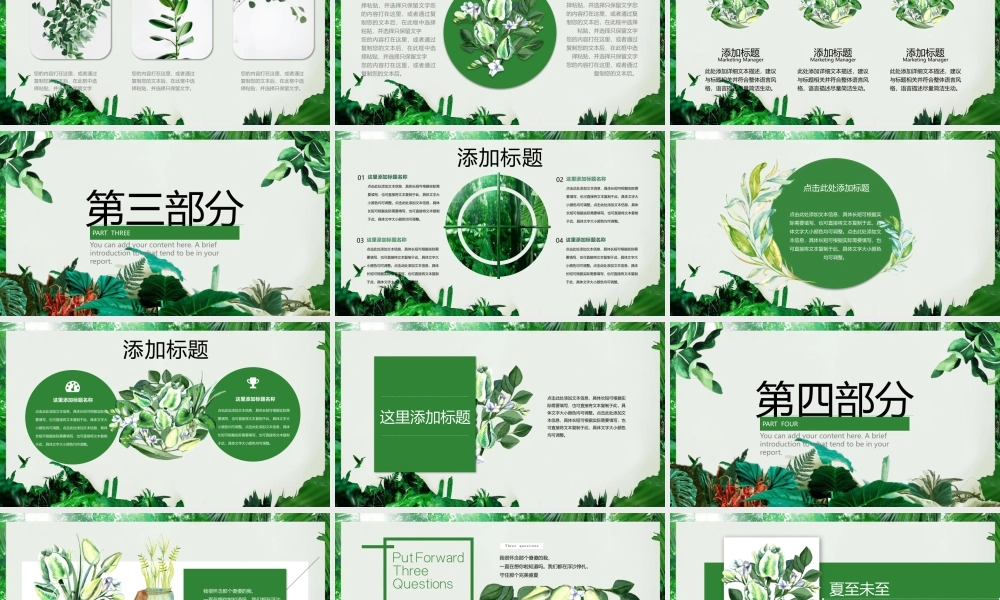 森林绿叶植物背景清爽夏季主题.pptx