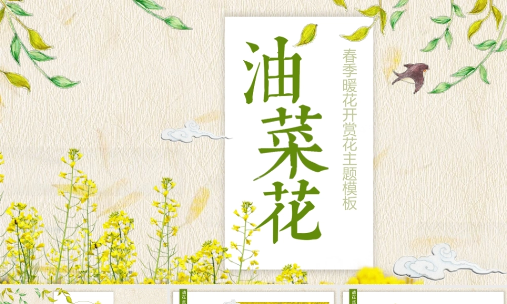 水彩油菜花PPT模板.pptx
