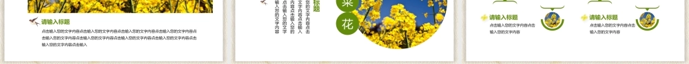 水彩油菜花PPT模板.pptx
