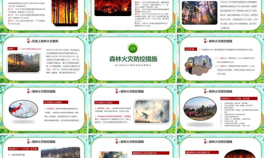 森林火灾重防范严控火源是关键PPT森林防火公益宣传PPT防火安全无小事时时处处需留心PPT课件（带内容）.pptx