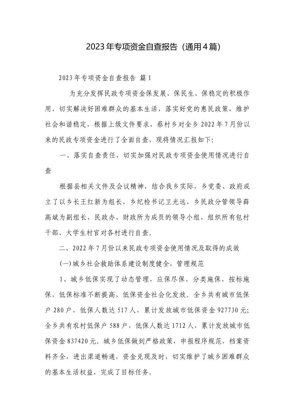 2023年专项资金自查报告（通用4篇）.docx_第1页