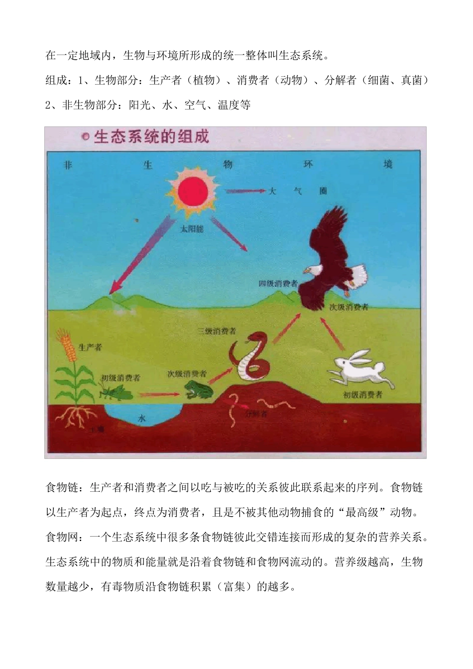 初中生物重点知识点考点总结.pdf_第3页