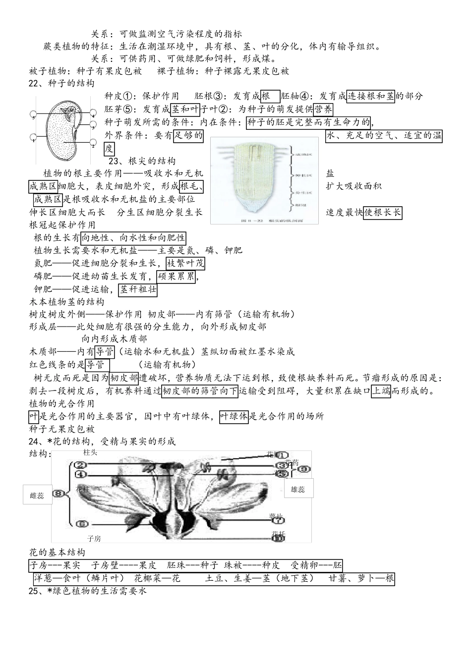 七年级生物上册期末复习知识点汇总(全).pdf_第3页