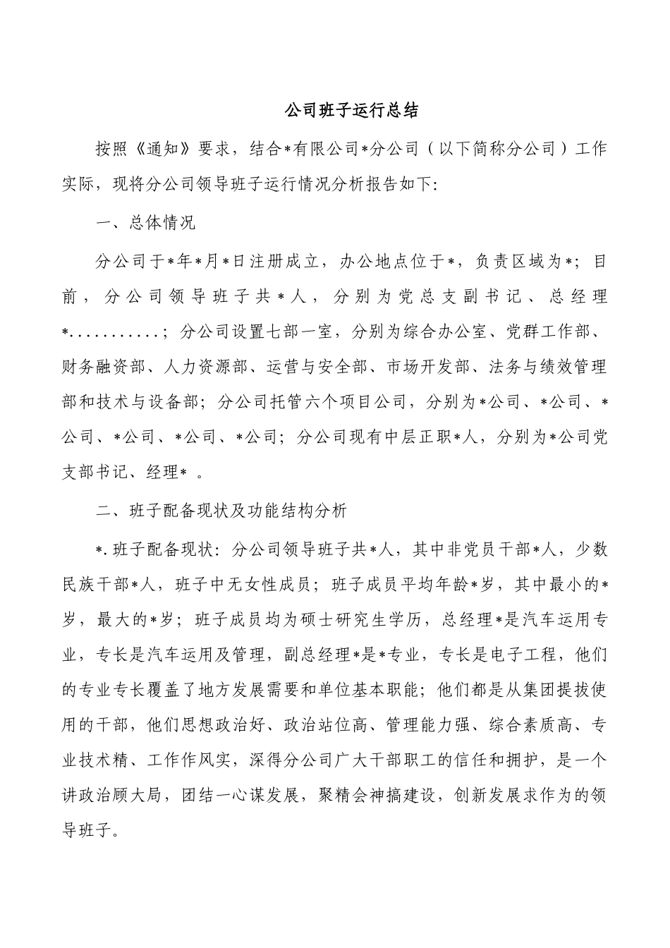 公司班子运行总结.docx_第1页
