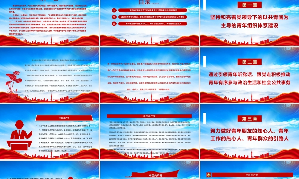 加强青年组织政治引领以奋斗姿态激扬青春PPT推动青年走向世界大力弘扬全人类共同价值PPT课件（带内容）.pptx