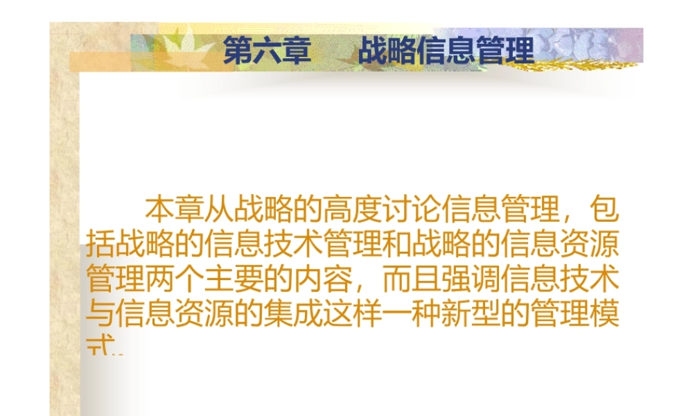 战略信息管理(ppt45页).pptx