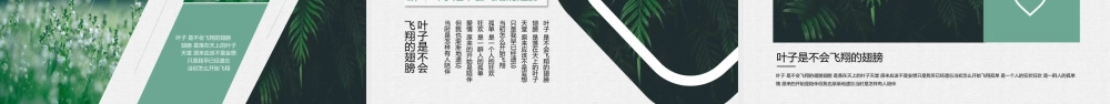 清新文艺森系叶子 .pptx
