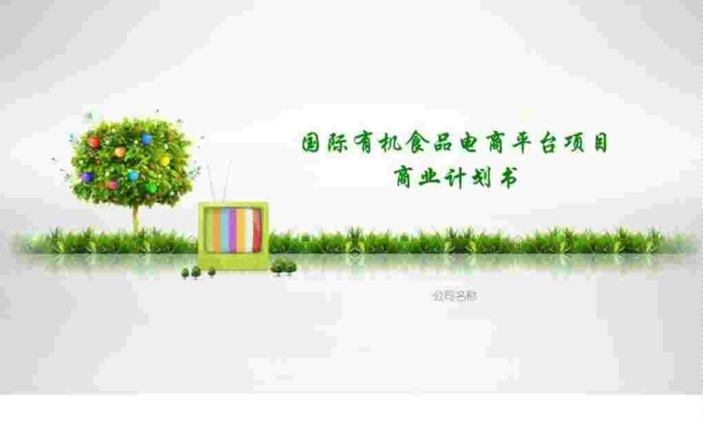 绿色环保精美国际有机食品电商平台项目商业计划书精.pptx
