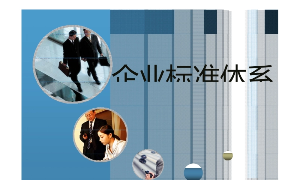 企业标准体系.pptx