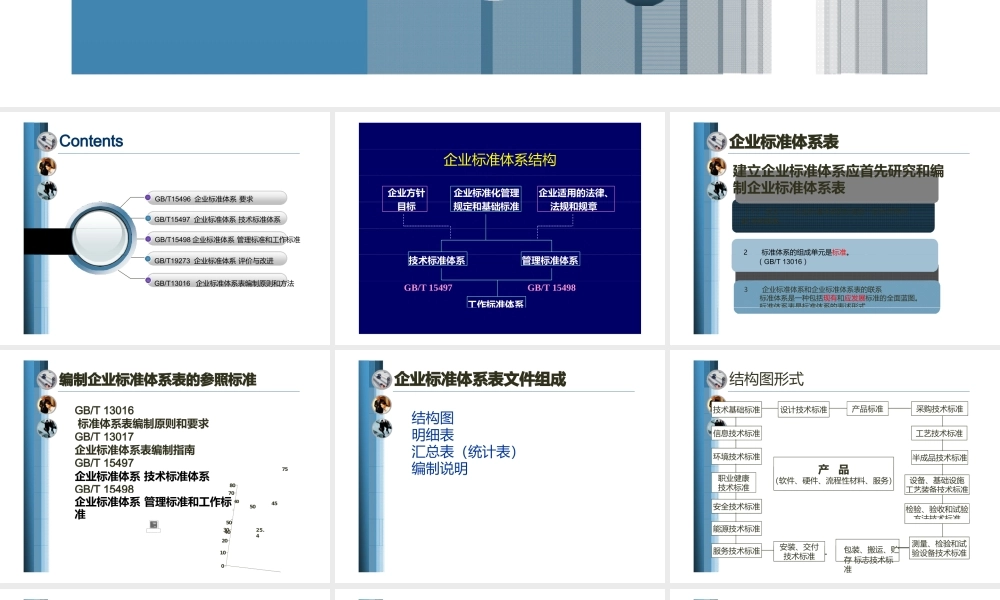 企业标准体系.pptx