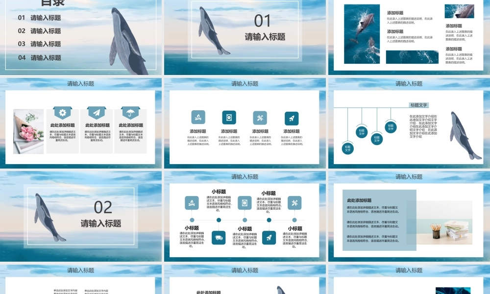 碧海蓝天与鲸鱼背景的教学经验交流PPT模板.pptx