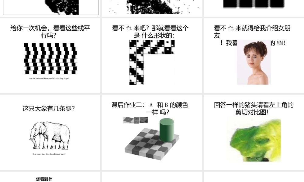 心理学判断-我们是如何形成判断和认识的.pptx