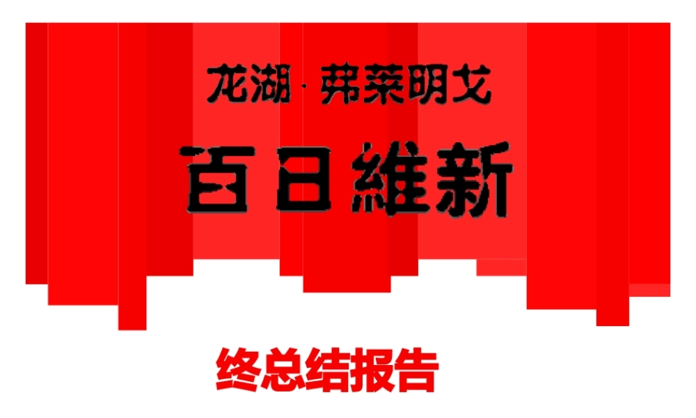 龙湖-成都龙湖弗莱明戈项目年终总结及计划 .pptx