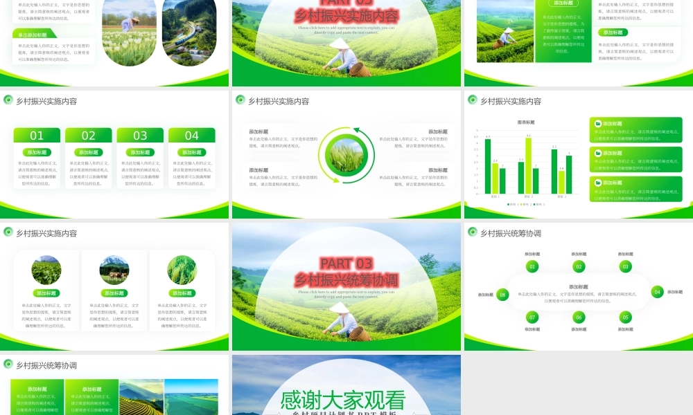 风乡村振兴战略项目计划书PPT模板.pptx