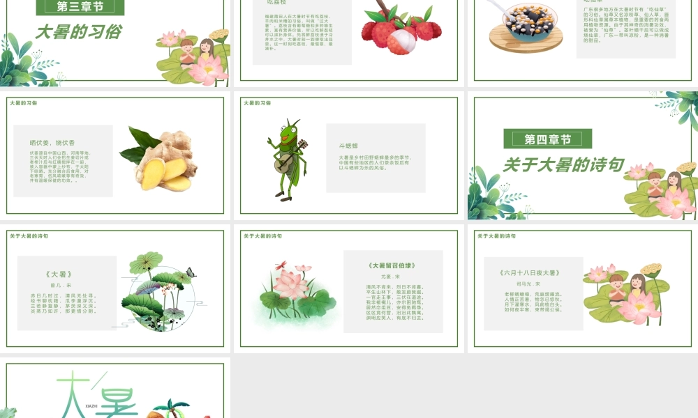 卡通荷花大西瓜背景的大暑节气介绍PPT模板.pptx