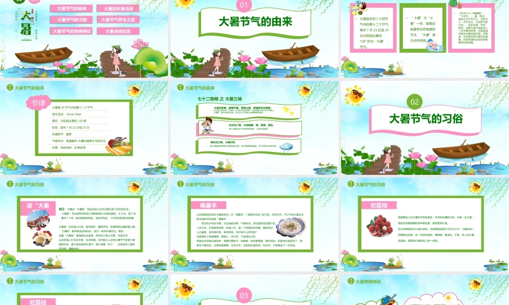 清新大暑节气知识介绍PPT模板.pptx
