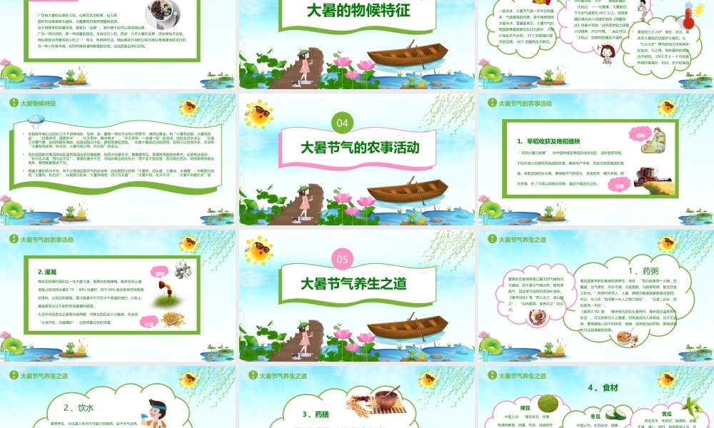 清新大暑节气知识介绍PPT模板.pptx