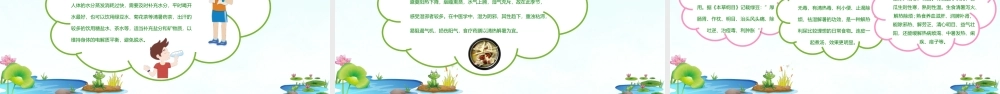 清新大暑节气知识介绍PPT模板.pptx