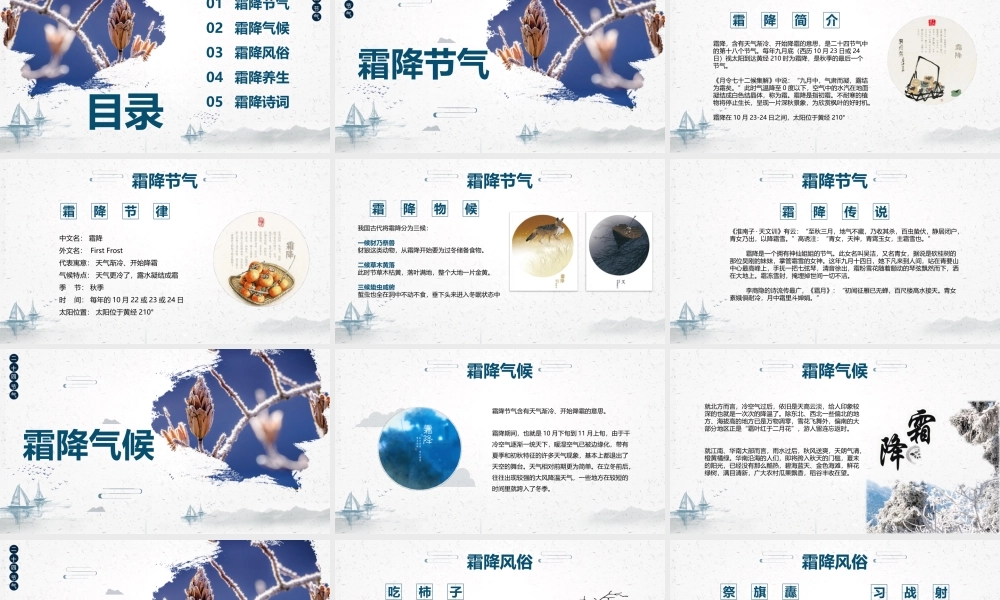 清爽白色霜降节气介绍PPT模板.pptx