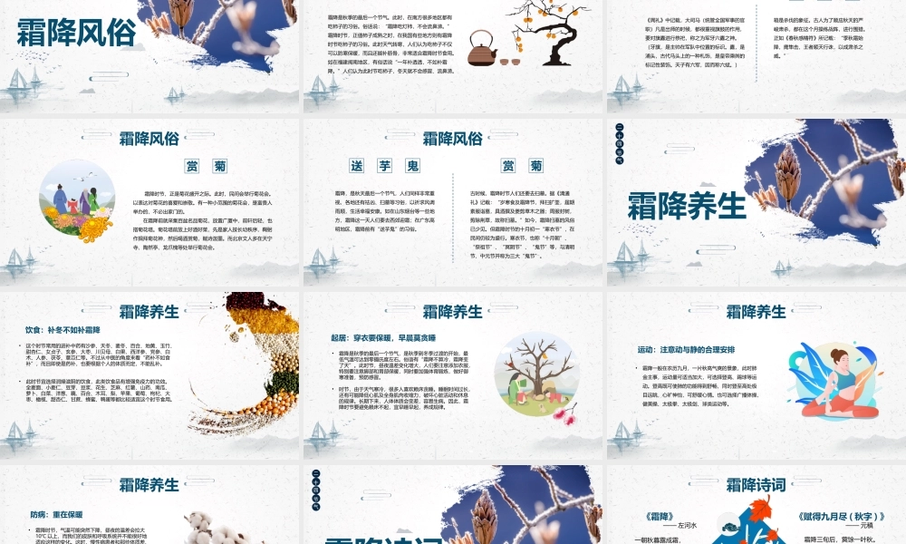 清爽白色霜降节气介绍PPT模板.pptx