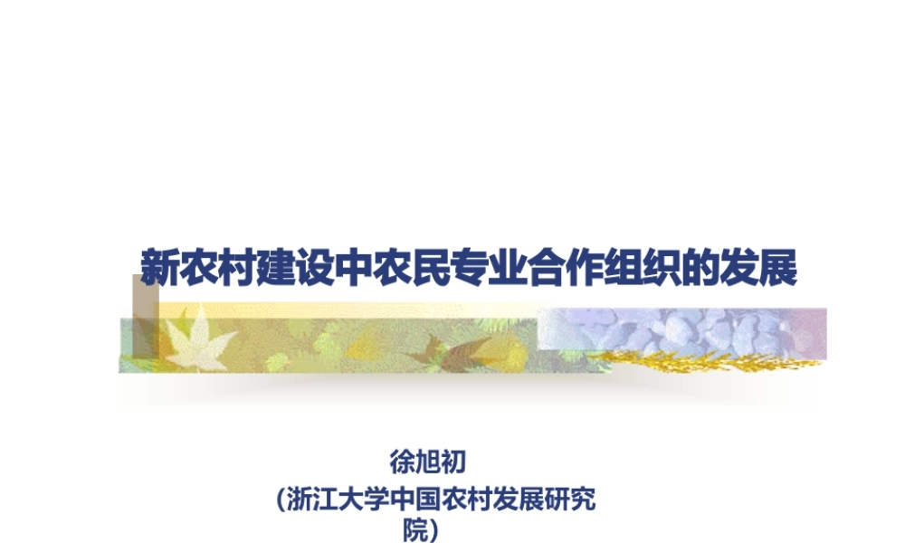 新农村建设中农民专业合作组织的发展.pptx