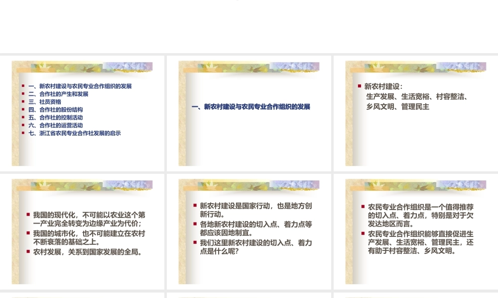新农村建设中农民专业合作组织的发展.pptx