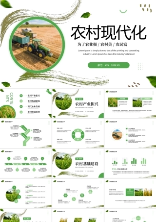 农村现代化宣传PPT模板.pptx