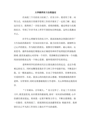 大学教师实习自我鉴定.doc
