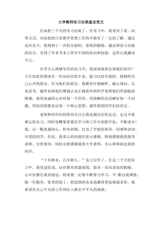 大学教师实习自我鉴定范文.doc