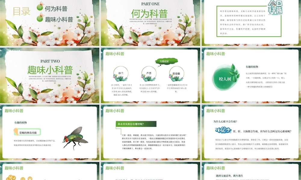 绿色卡通学生趣味科普小讲堂PPT模板.pptx