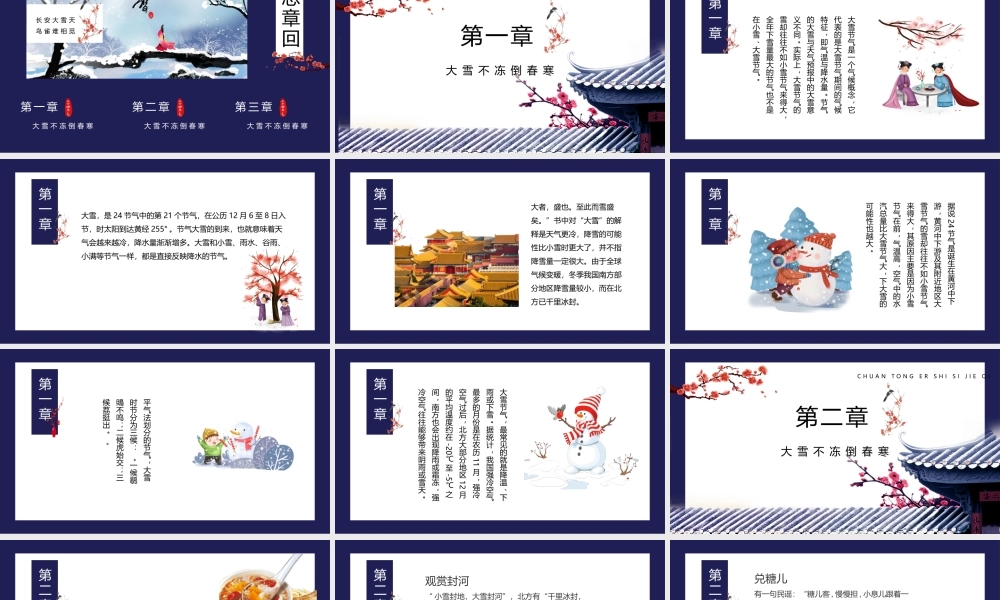 雪天的飞鸟红果子背景大雪节气PPT模板.pptx