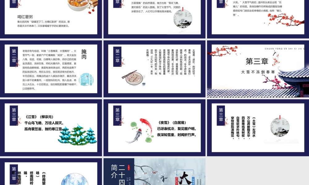 雪天的飞鸟红果子背景大雪节气PPT模板.pptx