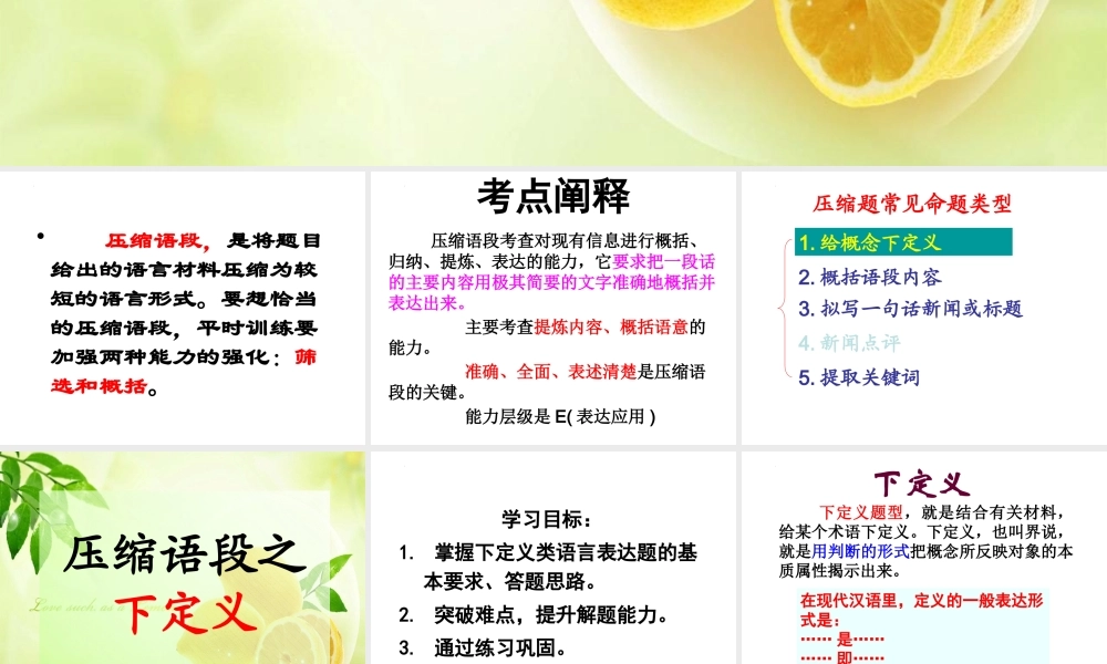 2023届高考语文专题复习：高考压缩语段之下定义课件PPT模板.pptx