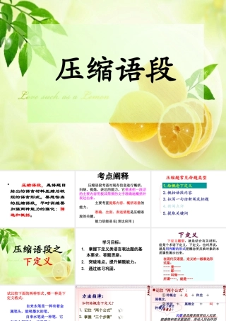 2023届高考语文专题复习：高考压缩语段之下定义课件PPT模板.pptx