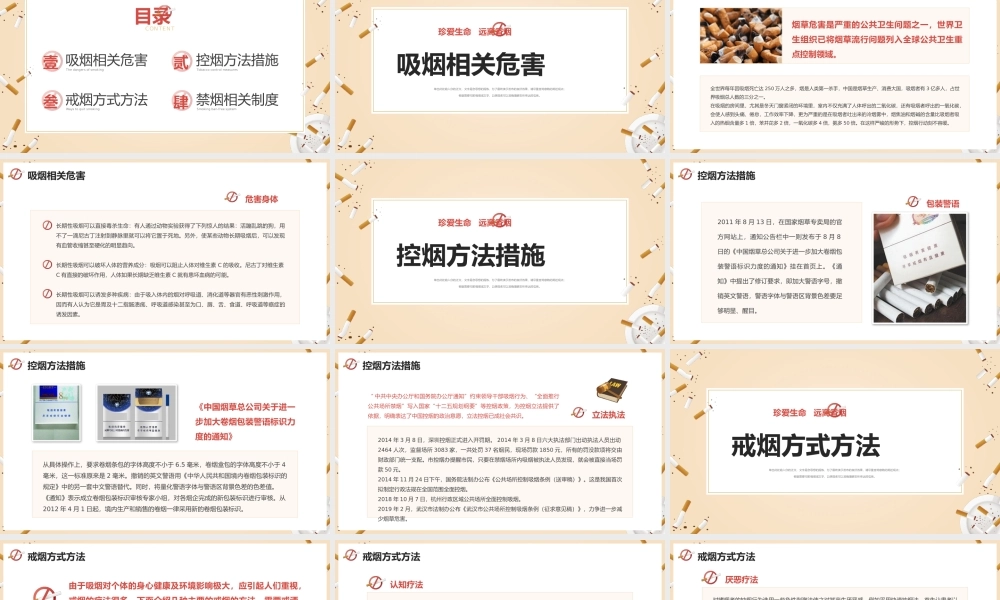 世界无烟日禁烟控烟宣传PPT模板.pptx