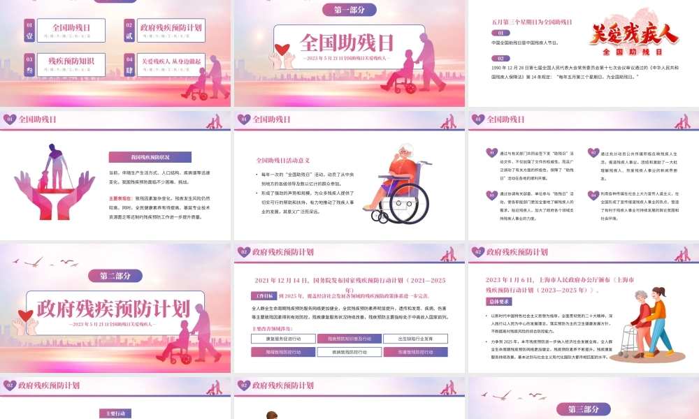 粉色简约风全国助残日.pptx