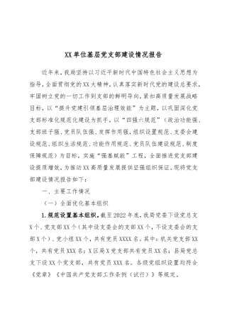 XX单位基层党支部建设情况报告.doc