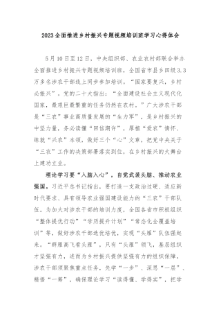 2023全面推进乡村振兴专题视频培训班学习心得体会2篇.docx