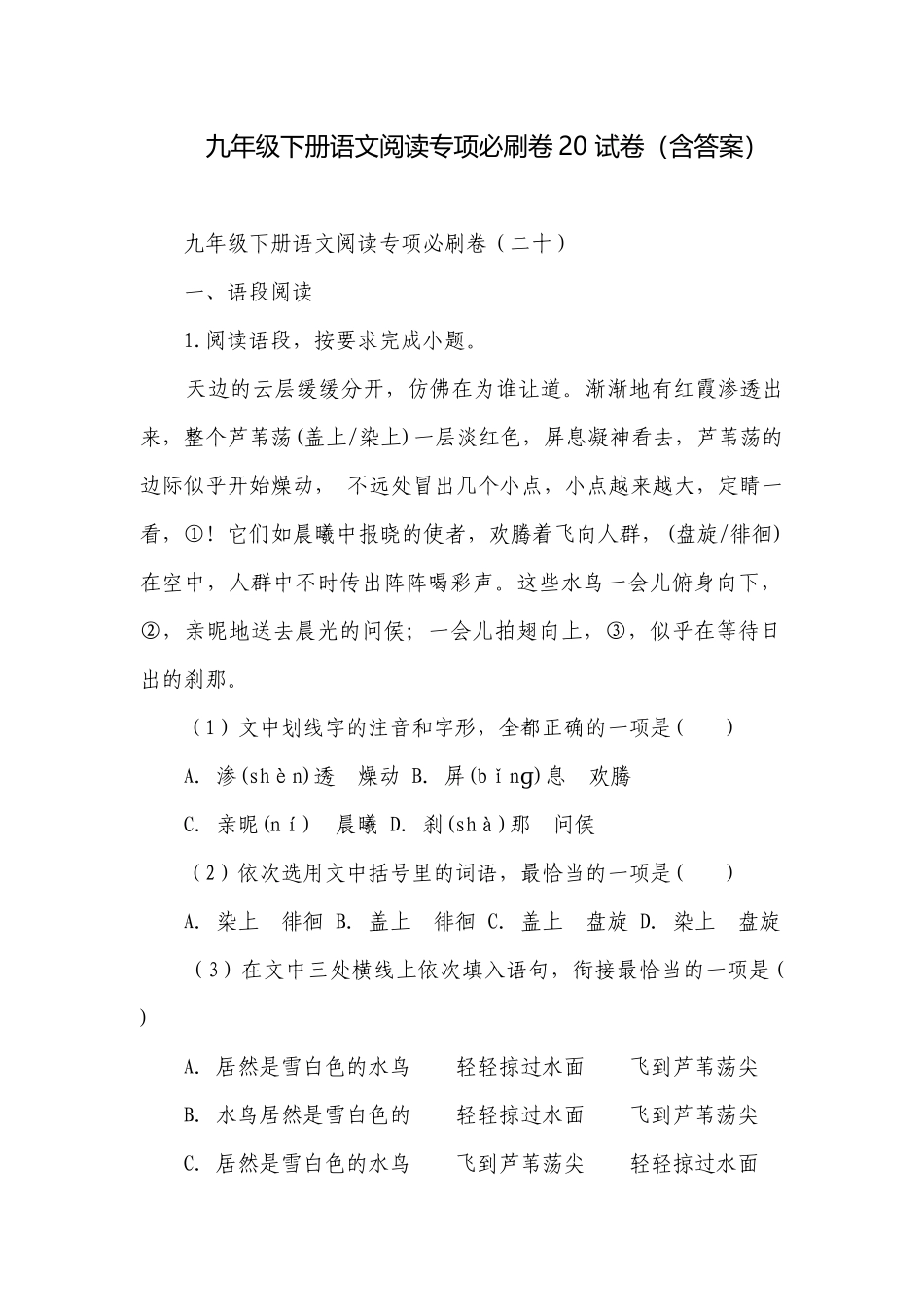 九年级下册语文阅读专项必刷卷20 试卷（含答案）.docx_第1页