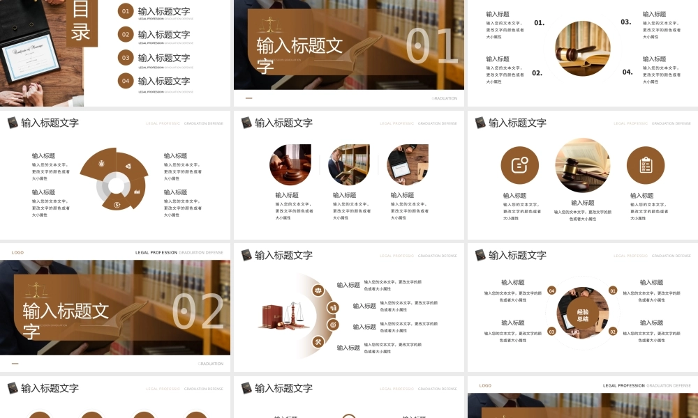 棕色简约风法律专业毕业答辩.pptx
